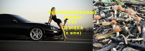 герыч Богородск