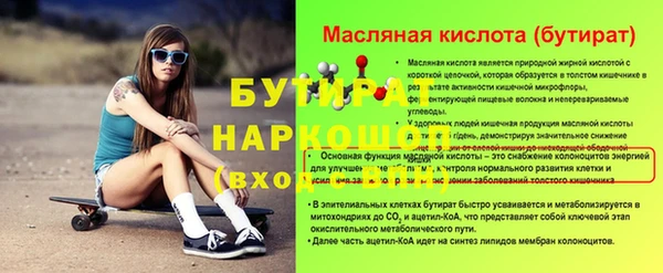 индика Бородино