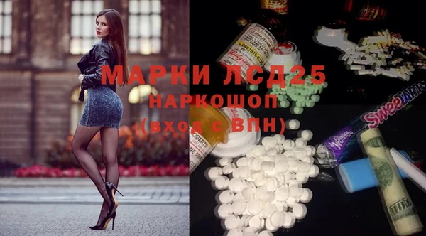 индика Бородино